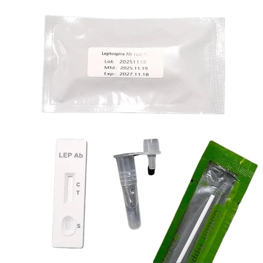 Rapid Test Leptospirosis Alat Rapid Test Leptospirosis IgG IgM Deteksi Antibodi Kencing Tikus IgG an