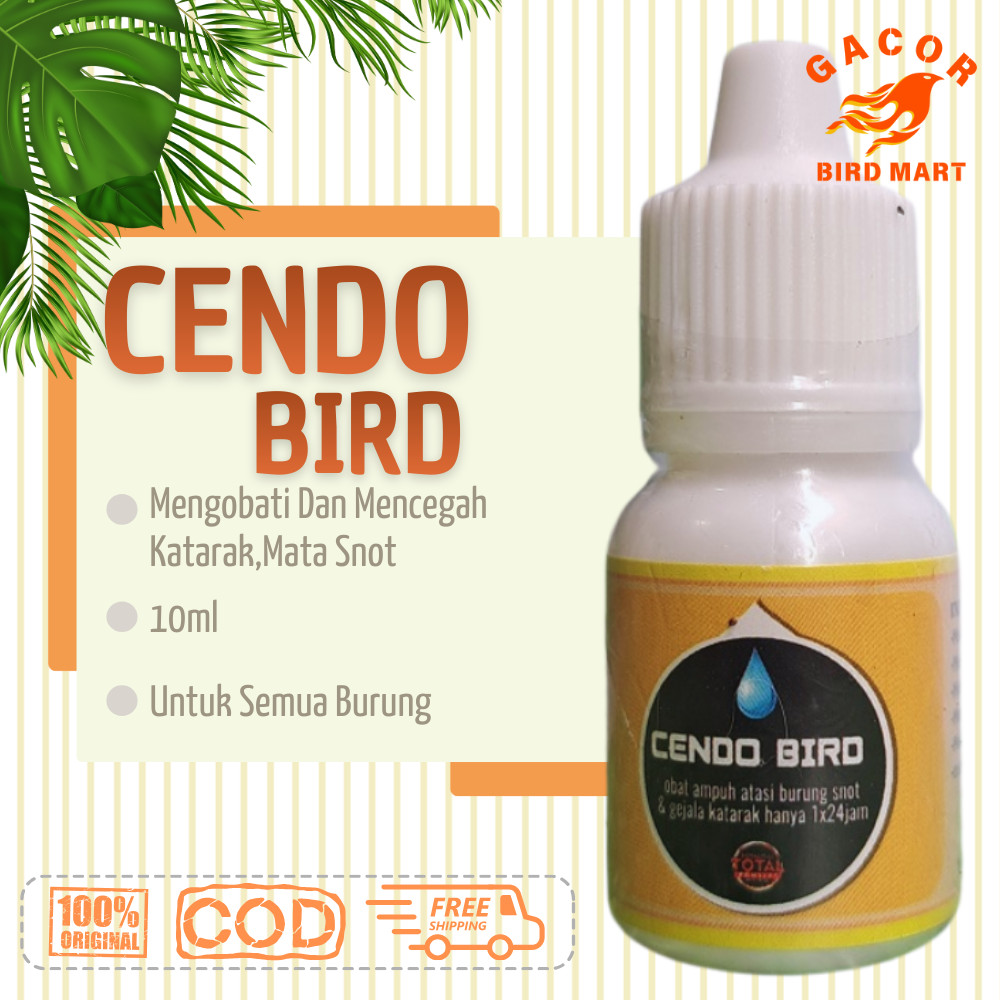 Cendo Bird Obat Burung Sakit Mata Katarak Berlendir Berair