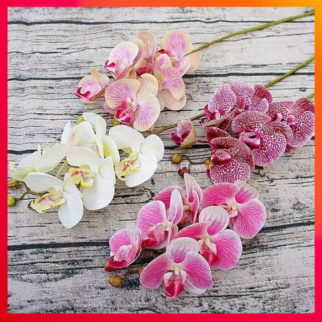 COD Bunga Anggrek Artificial Real Touch Besar Bunga Plastik Film Dekorasi Pernikahan Elegan READY