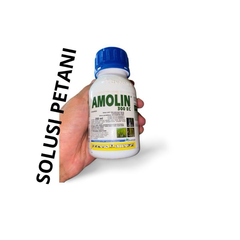 FUNGISIDA AMOLIN BAHAN AKTIF DIFENOKONAZOL + PROPIKONAZOL 300EC