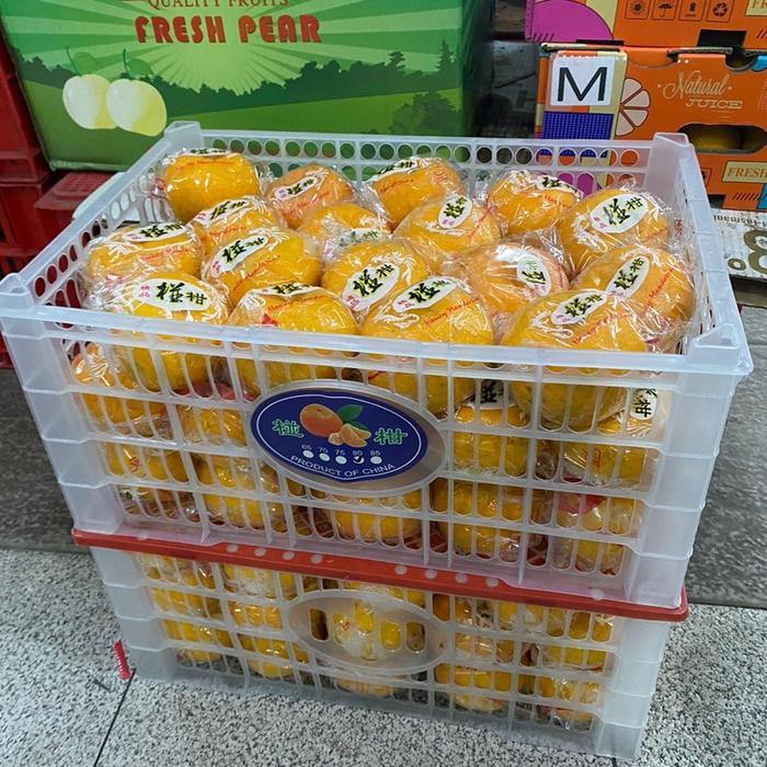 Jeruk ponkam box keranjang - jeruk mandari ponkam box 9 kg