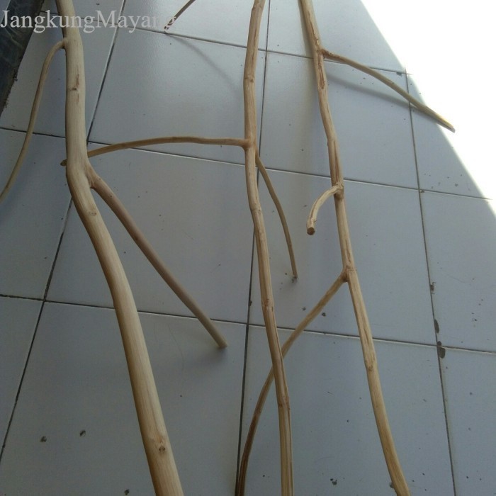 ranting kayu jati cabang 100 cm - ranting kayu macrame murah A