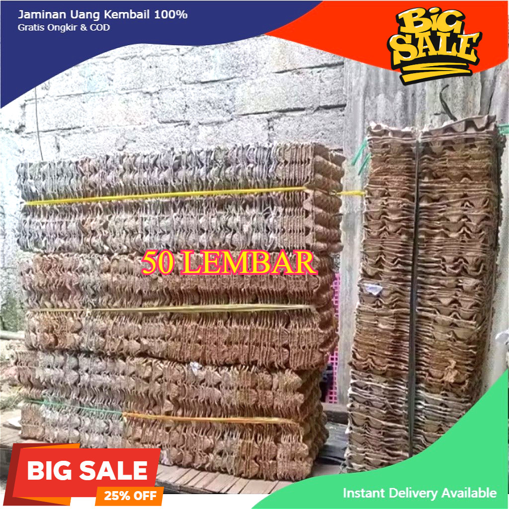 ( 50 pcs ) tray telur bekas murah bagus PERiket Egg Tray Karton - Tempat Telur Ayam Bekas MURAH