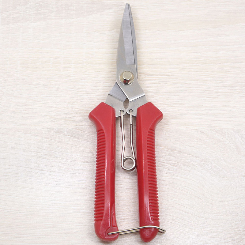 Pruner Shears Garden Cutter Stainless Steel Pruner Secateurs