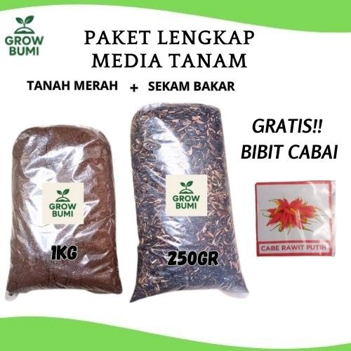 Paket Lengkap media tanam untuk semai bibit tanah merah + sekam bakar free bibit cabai