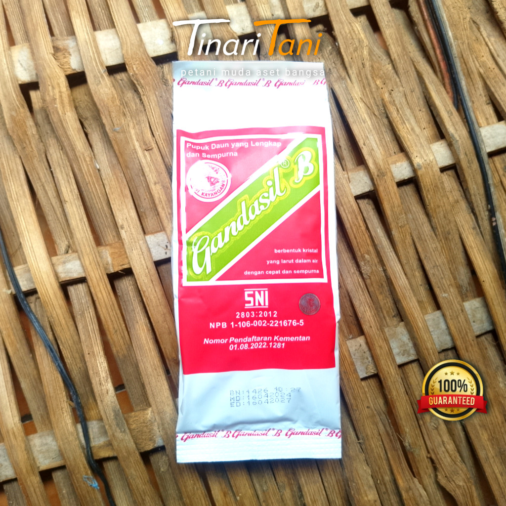 Hana Pharmacy7- GANDASIL B Pupuk Nutrisi Buah 500 Gram 100% Original - Tinari