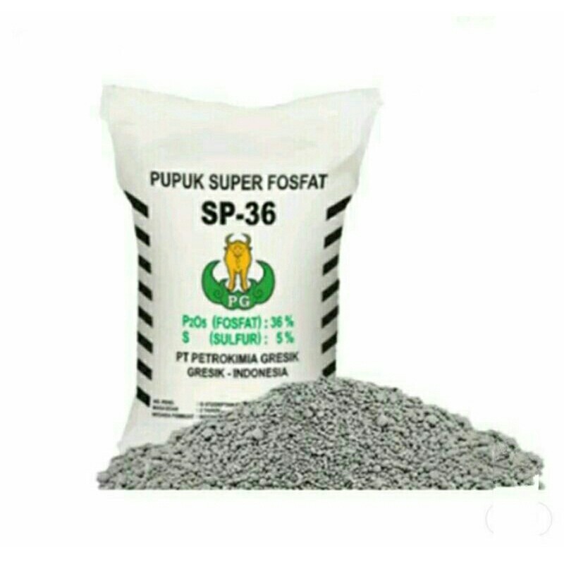 Pupuk SP36 1kg Non Subsidi Murah Fosfor 36%