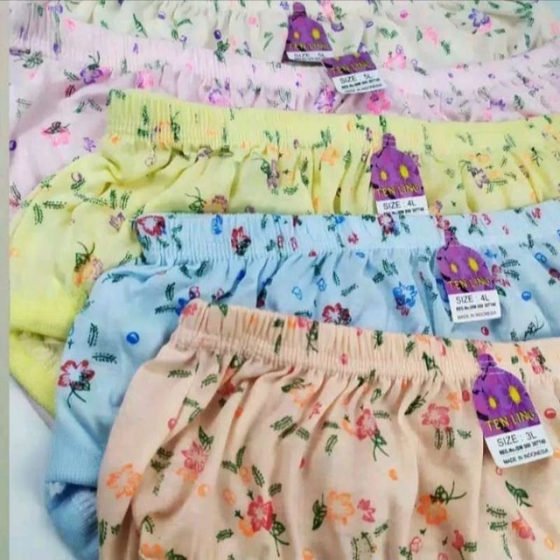 PMR01-isi 12 pcs Celana Dalam Wanita Dewasa Motif Bunga Jumbo Murah / cd cewek Harian busui/Cangcut 