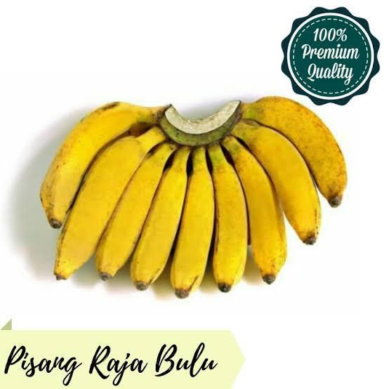 Pisang raja | pisang raja bulu | Buah pisang raja bulu manis sisir