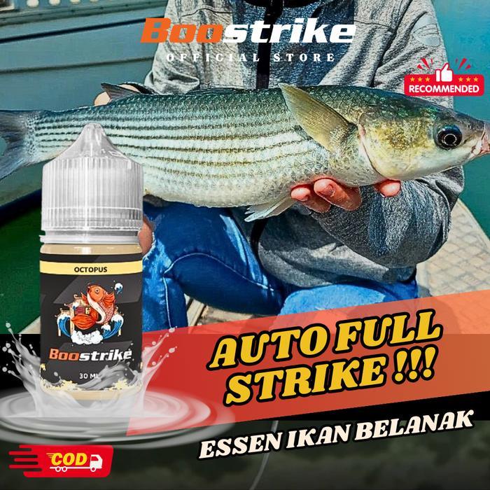 Essen Ikan Belanak Oplosan Teruji Paling Jitu Umpan Mancing - Essen Ikan Belanak