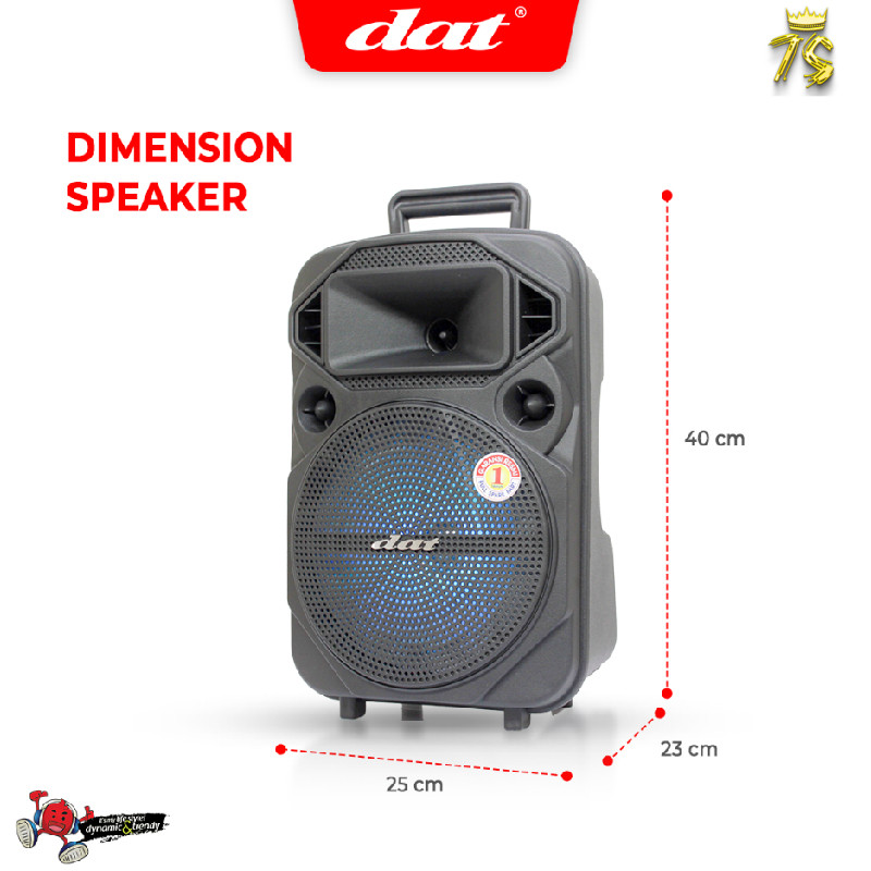 DAT Speaker DT 815 820 Portable 8 Inch Bluetooth Mic