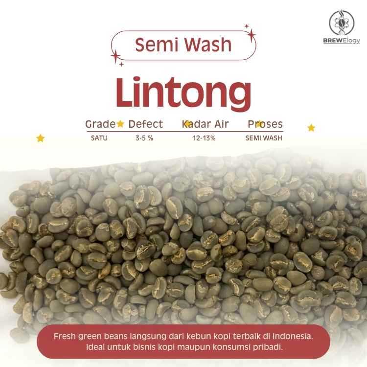 green Bean  biji kopi Arabika Lintong - semi wash wethull