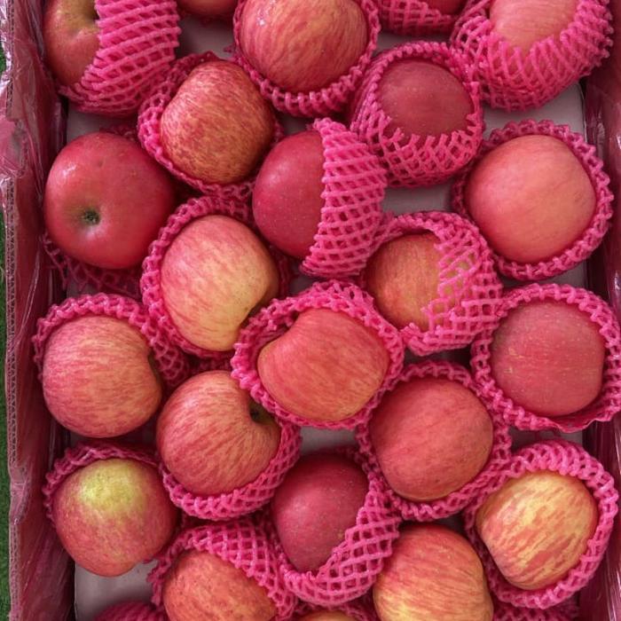 Apel Fuji Premium - 1 kg