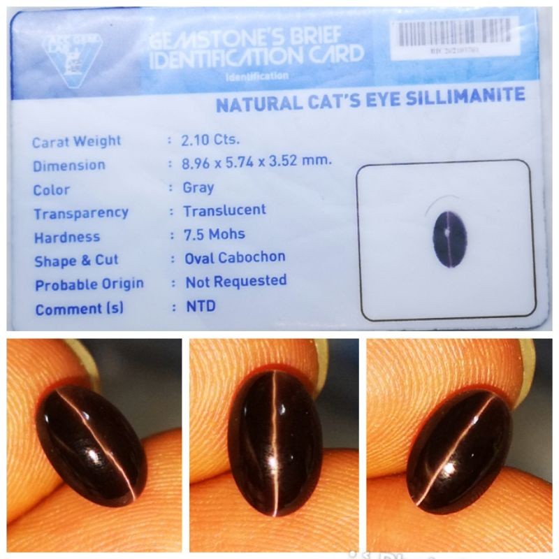 Natural Batu Opal Cat Eye Ceylon Top Star Lurus Plus Memo Gems Lab Murmer