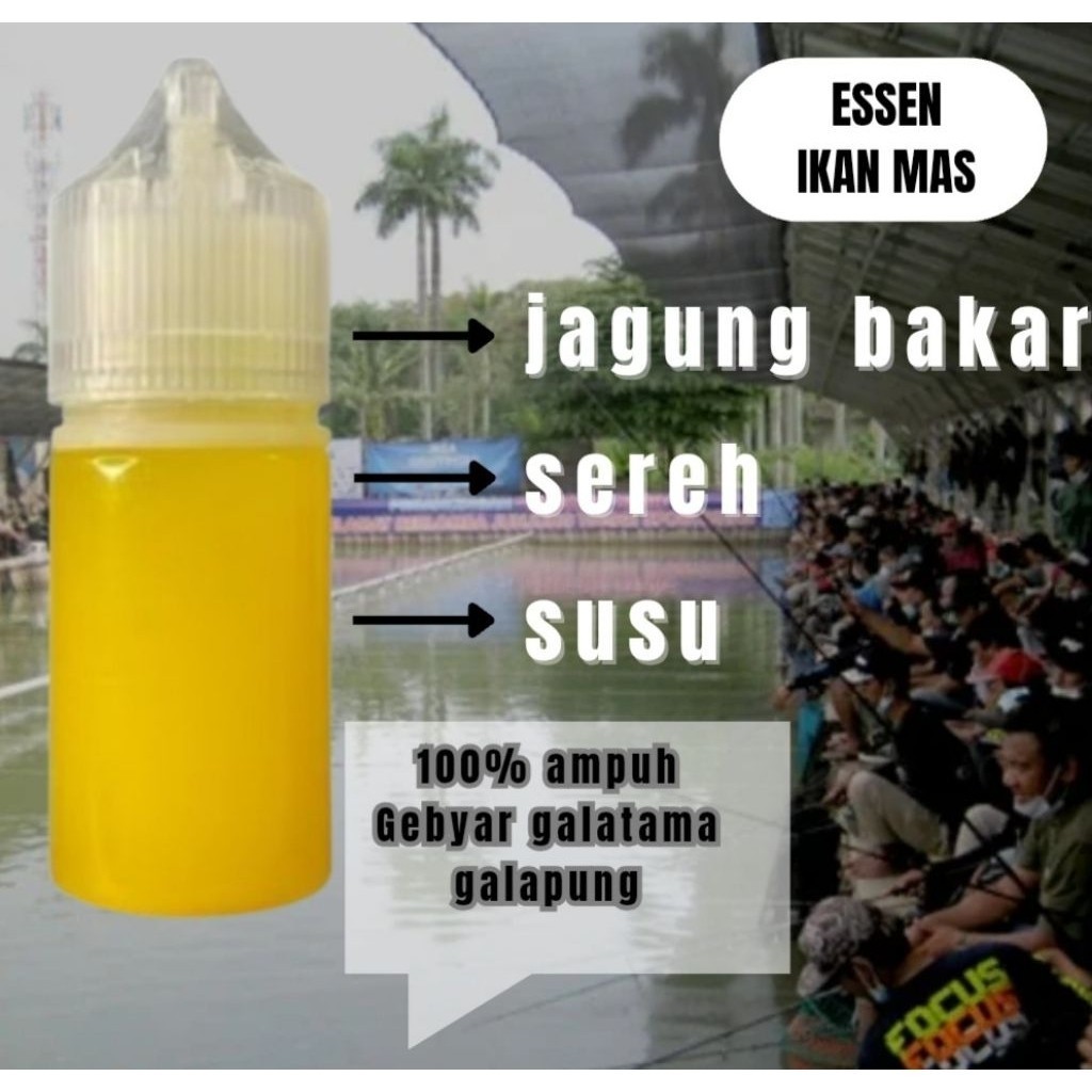essen ikan mas harian lomba essen oplosan paling ampuh essen murah kualitas premium
