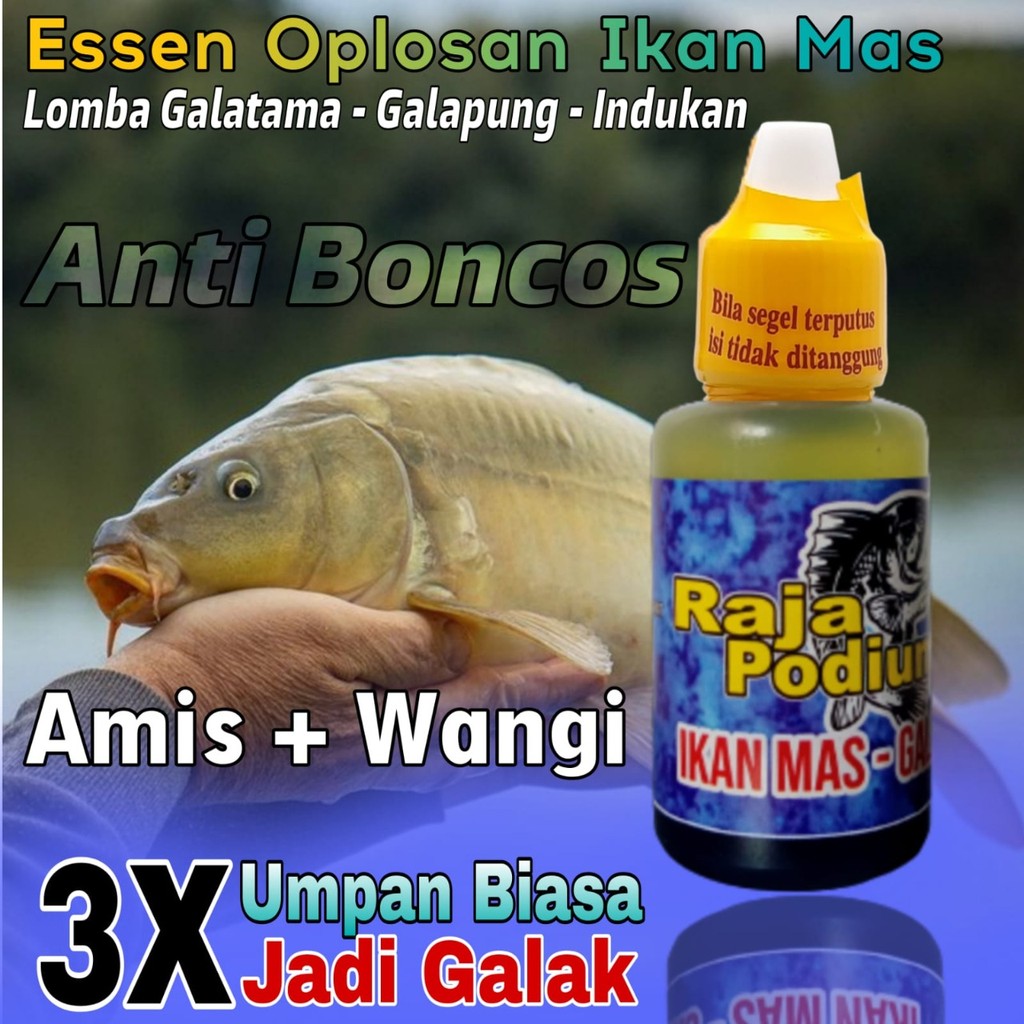 essen khusus ikan mas paling gacor khusus untuk galatama/lomba/indukan/totalan essen khusus ikan mas