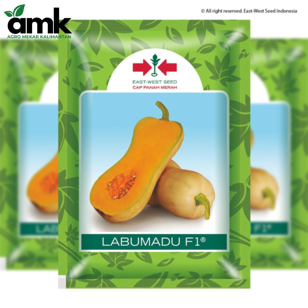 Cap Panah Merah - LABU MADU 10 Butir (SP)