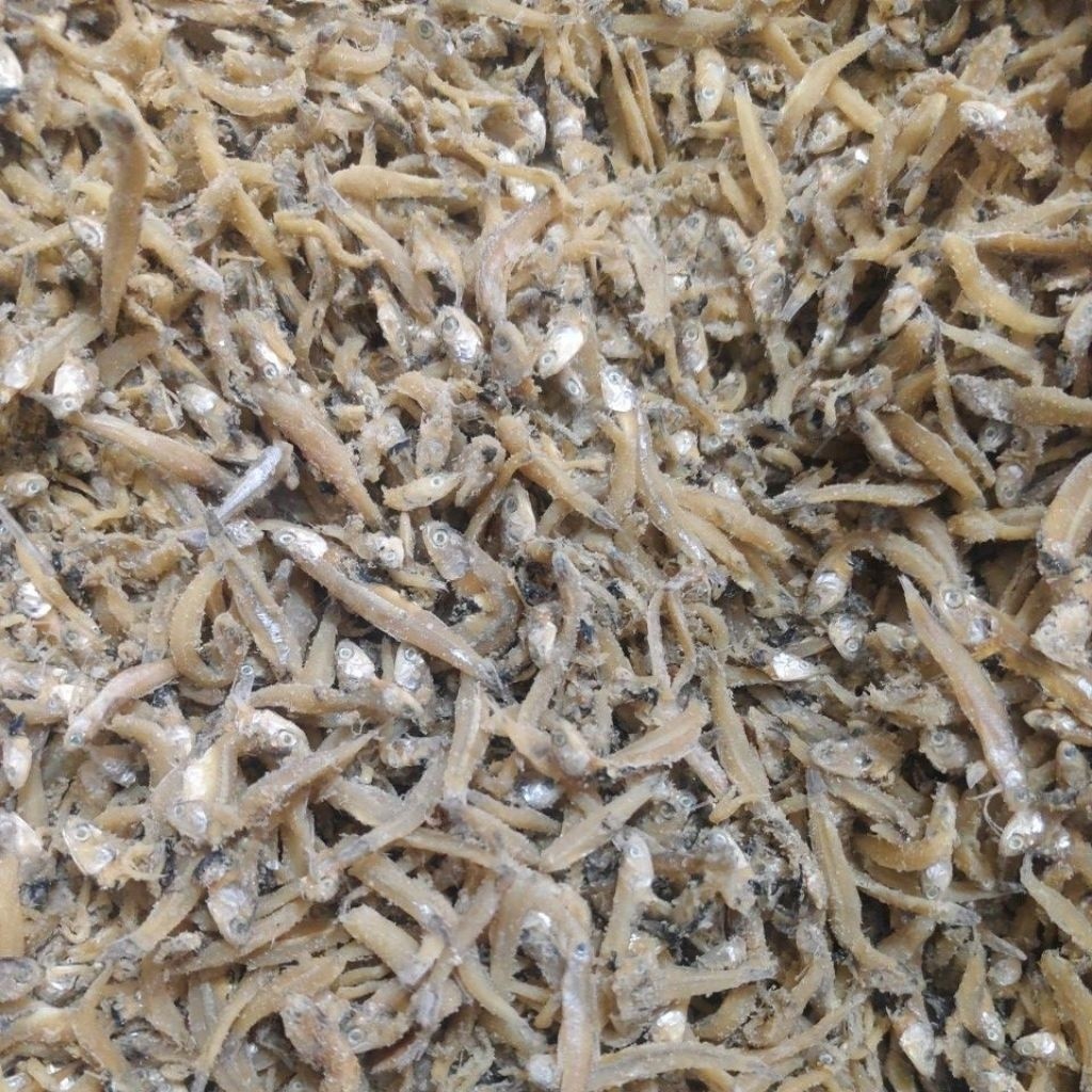 Teri jengki rebus / ikan teri asin rebus