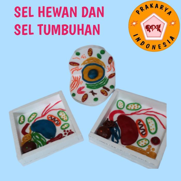 Sel hewan dan Sel tumbuhan prakarya - Sel tumbuhan, + nama organel