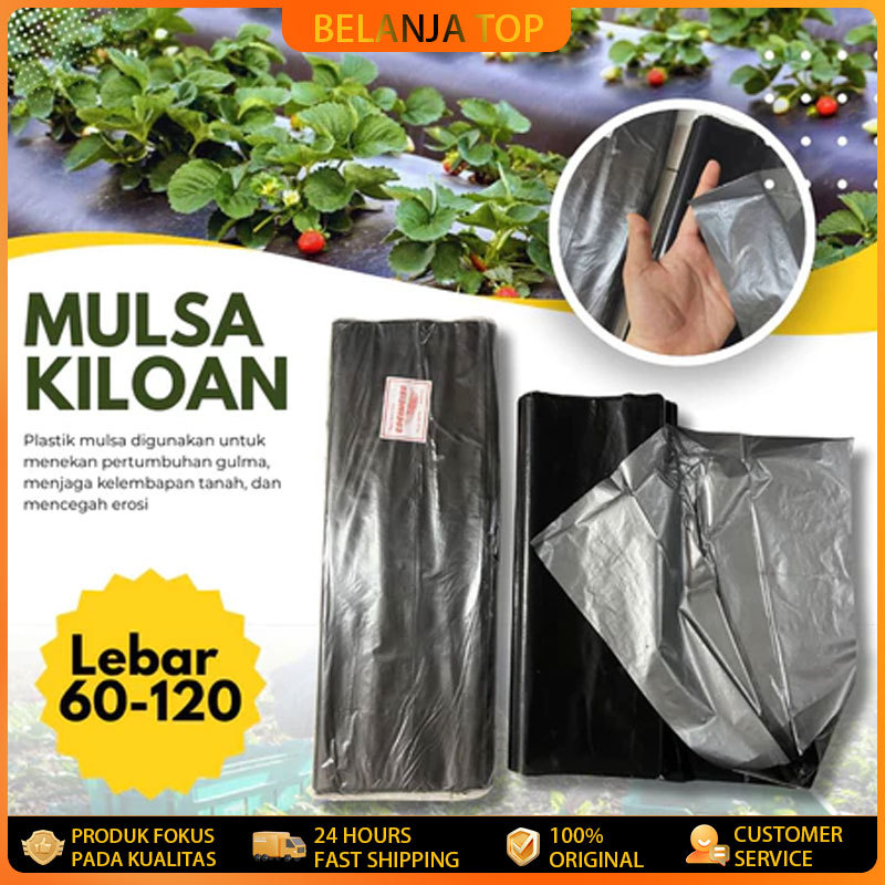 PLASTIK MULSA ( 1 ROLL ) panjang 250 meter * Lebar 120cm (1,2meter)