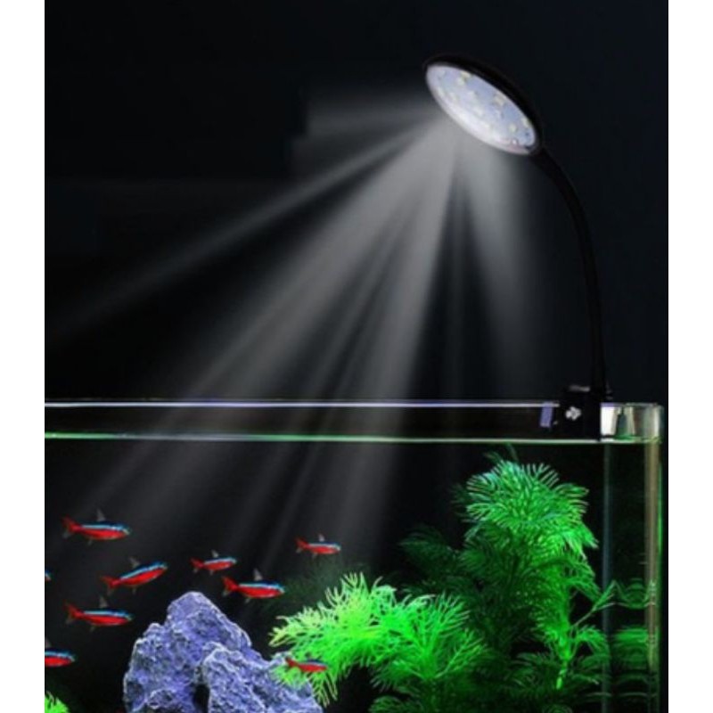 LAMPU JEPIT KANDILA PRO MINI CLIP MC 5 WHITE BLACK LAMPU LED AQUARIUM NANO FISH TANK
