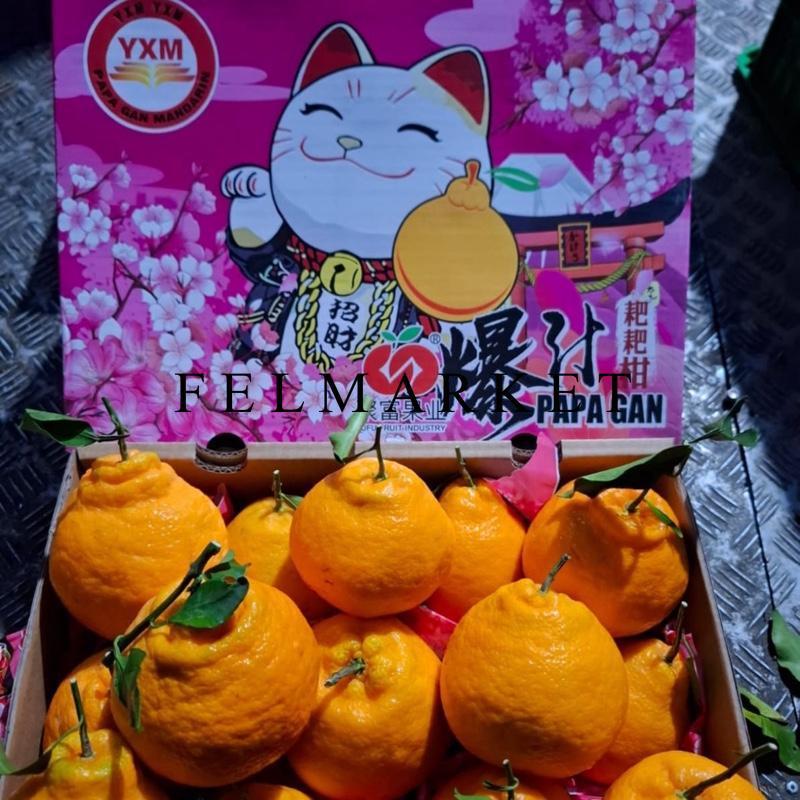 Buah Jeruk Papagan Super / Jeruk Dekopon / Dus