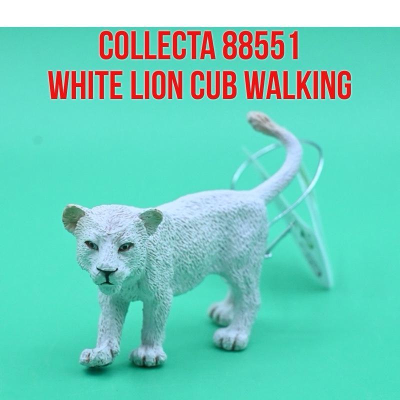 CollectA 88551 White Lion Cub Walking Anak Singa Putih Panthera Leo Kruger Raja Hutan  | Mainan Figu
