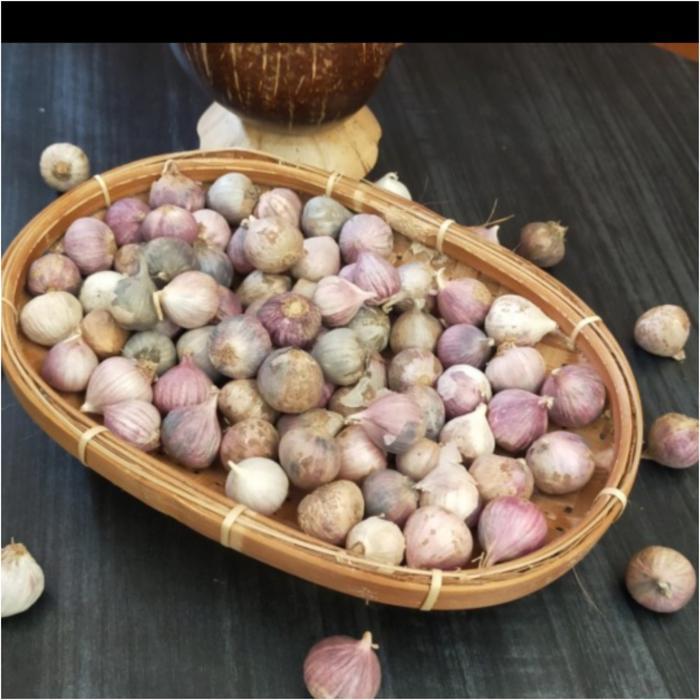 BAWANG PUTIH TUNGGAL/BAWANG LANANG SUPER UKURAN BESAR 500GR - kecil [Terlaris]