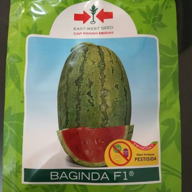 Benih bibit semangka BAGINDA panah merah