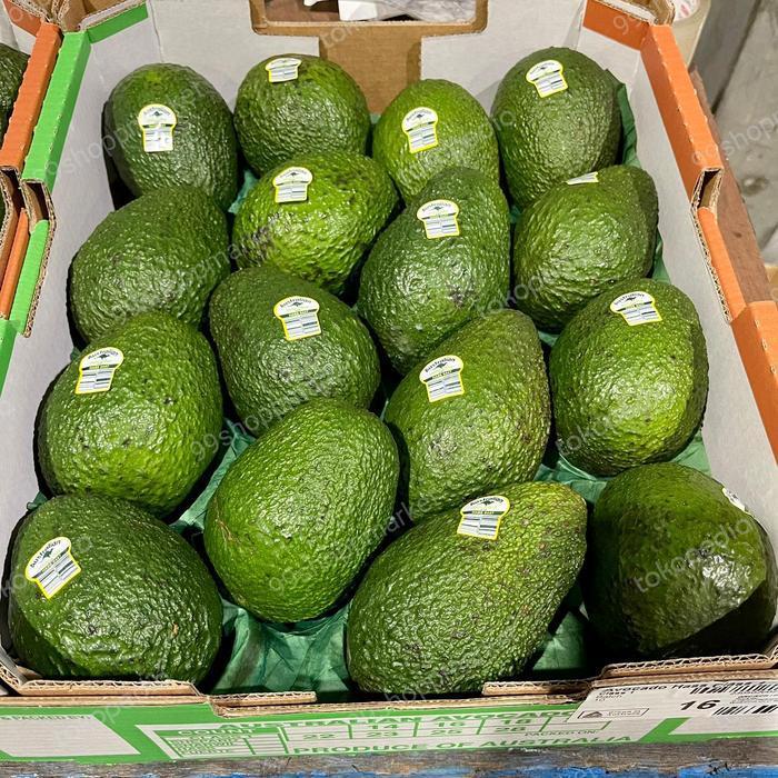 ALPUKAT IMPORT HASS AUSTRALIA 1 kg