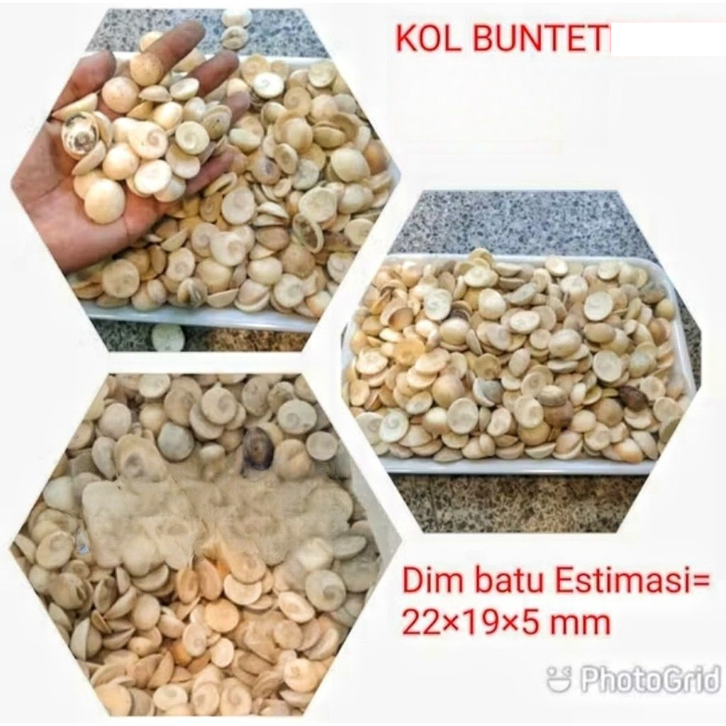 batu kol buntet asli natural