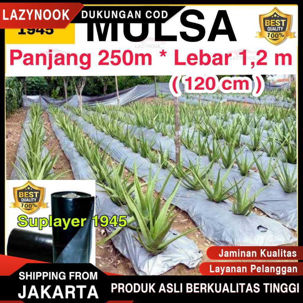 Plastik MULSA 1 ROLL hitam/perak ( Panjang 250 meter x Lebar 1,2 meter ) ROLL
