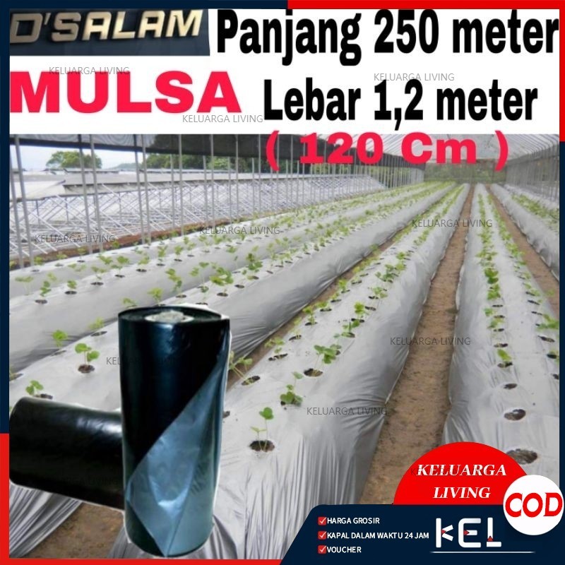 PLASTIK MULSA ( 1 ROLL ) panjang 250 meter * Lebar 120cm (1,2meter)