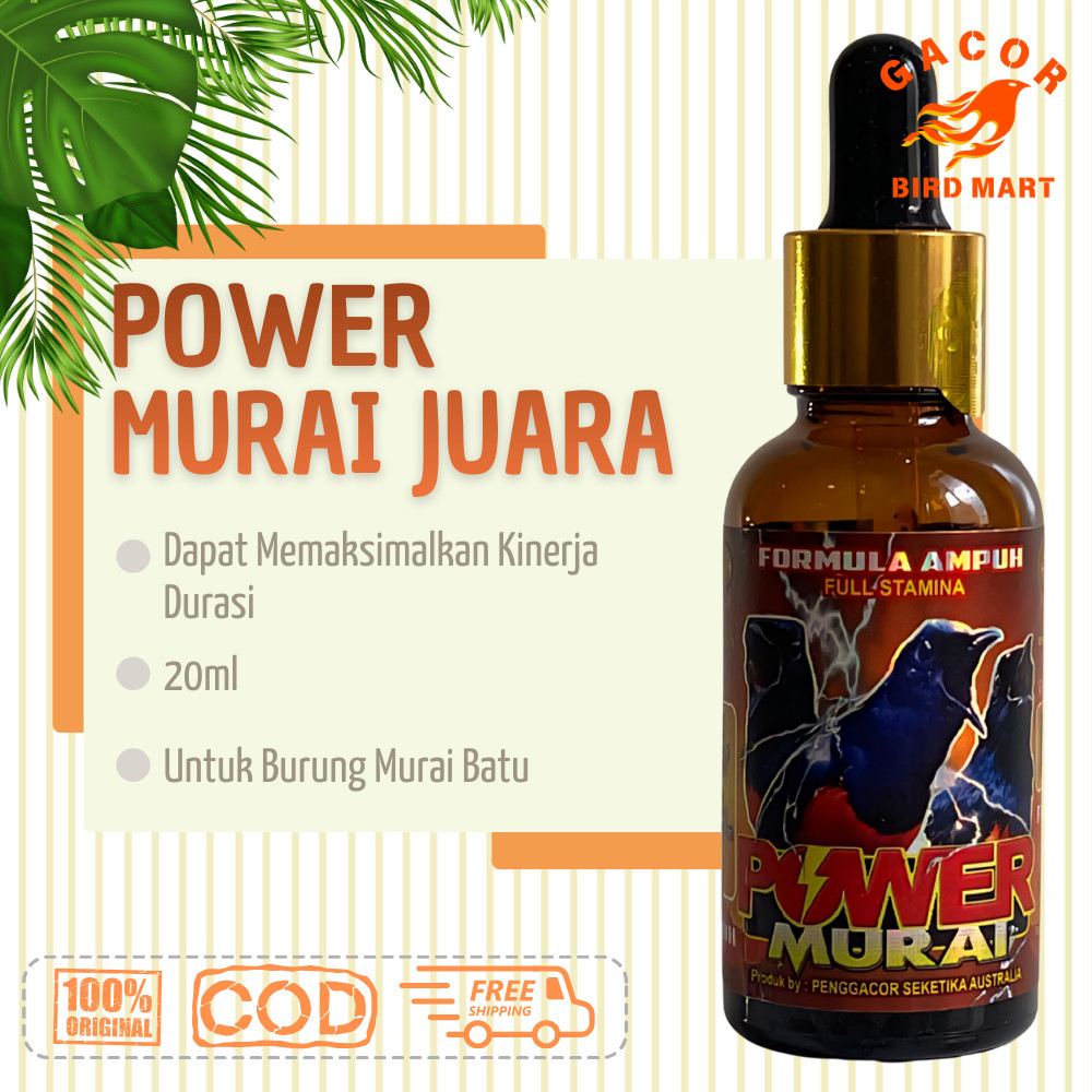 Power Murai juara Vitamin Penggacor Burung untuk burung murai anda
