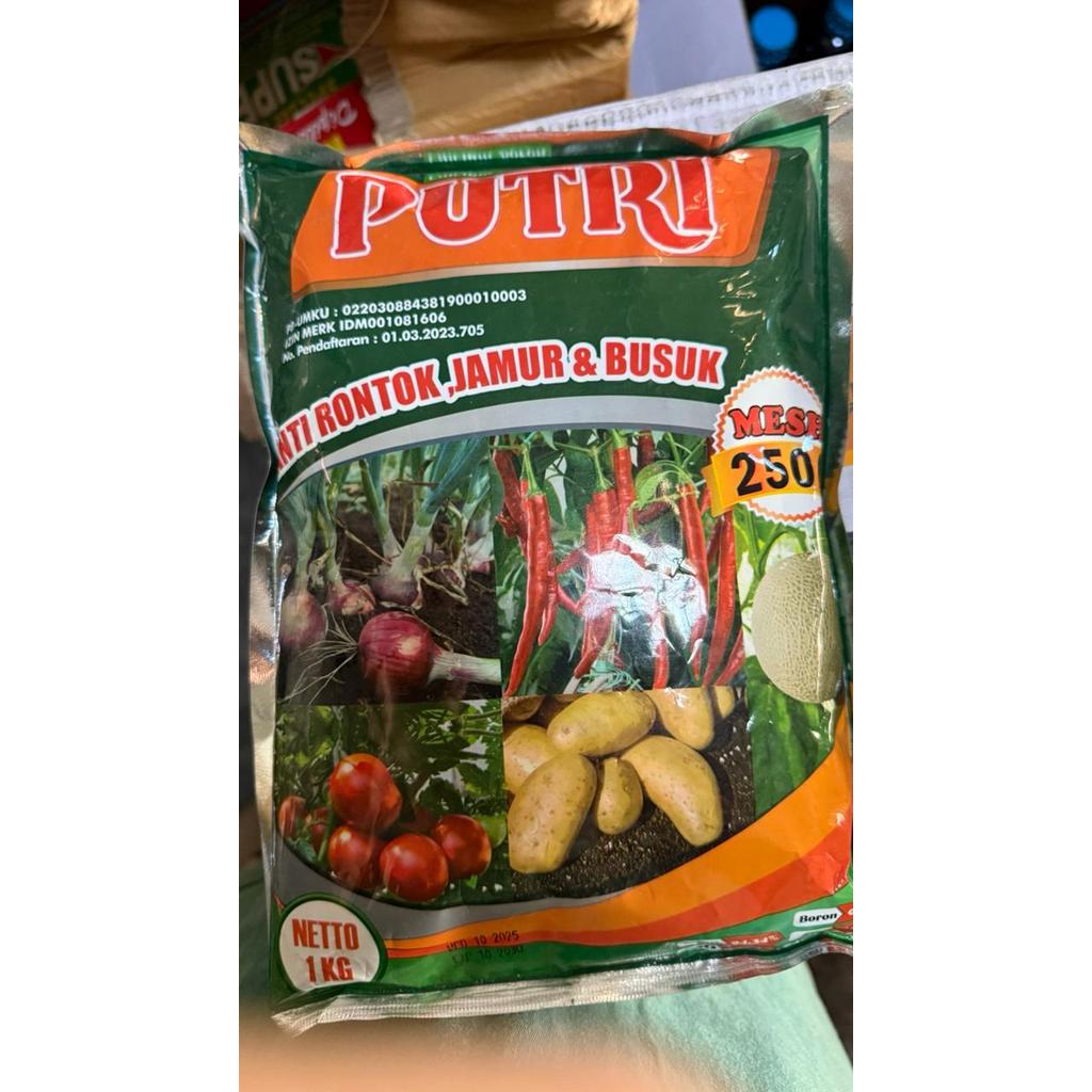 kalsium putri mesh 2500 1kg