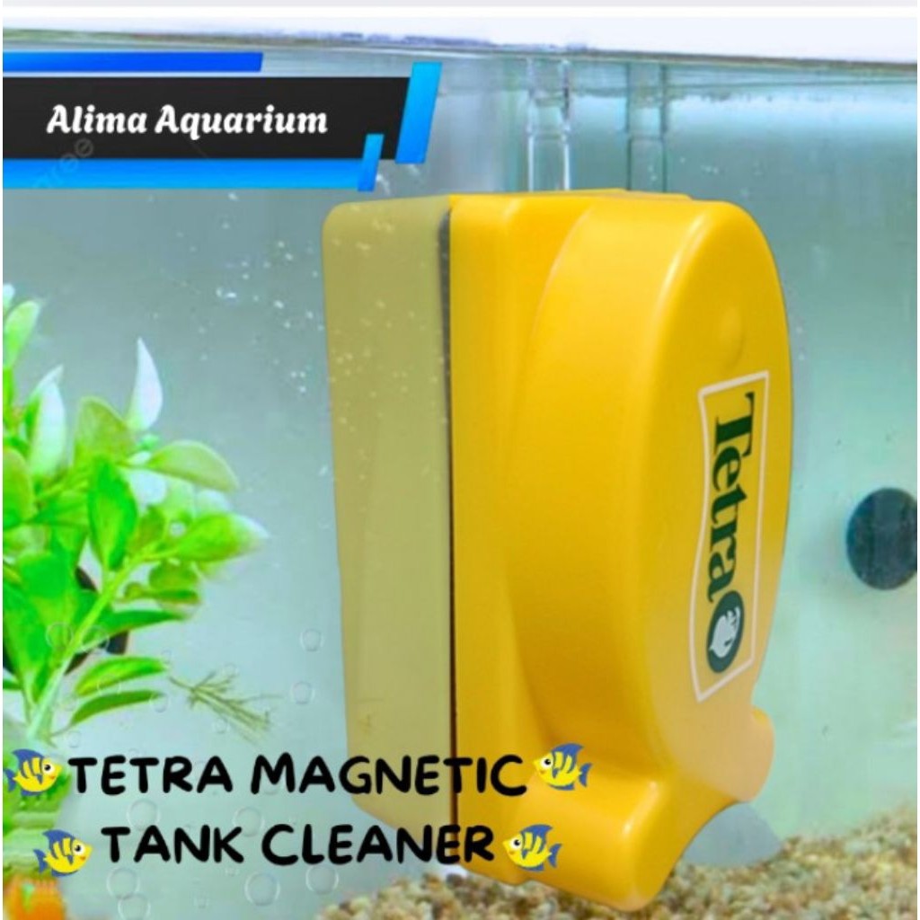 TETRA MAGNETIC TANK CLEANER MAGNET PEMBERSIH KACA AQUARIUM