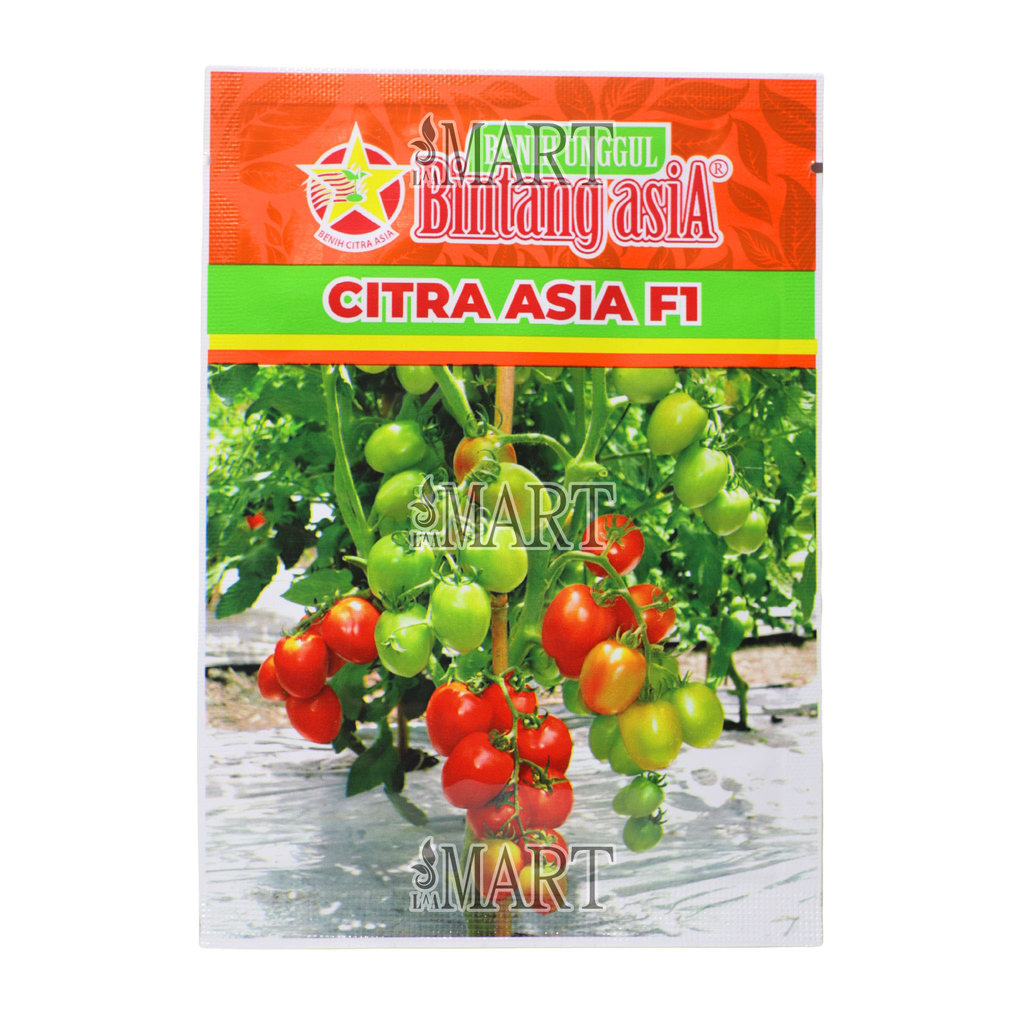 Benih Tomat Citra Asia F1 5 Gram Benih Bintang Asia