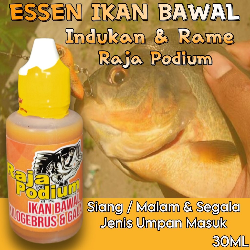 essen raja podium ikan bawal kilogebrus,essen ikan bawal galatama, essen ikan bawal paling jitu, ess