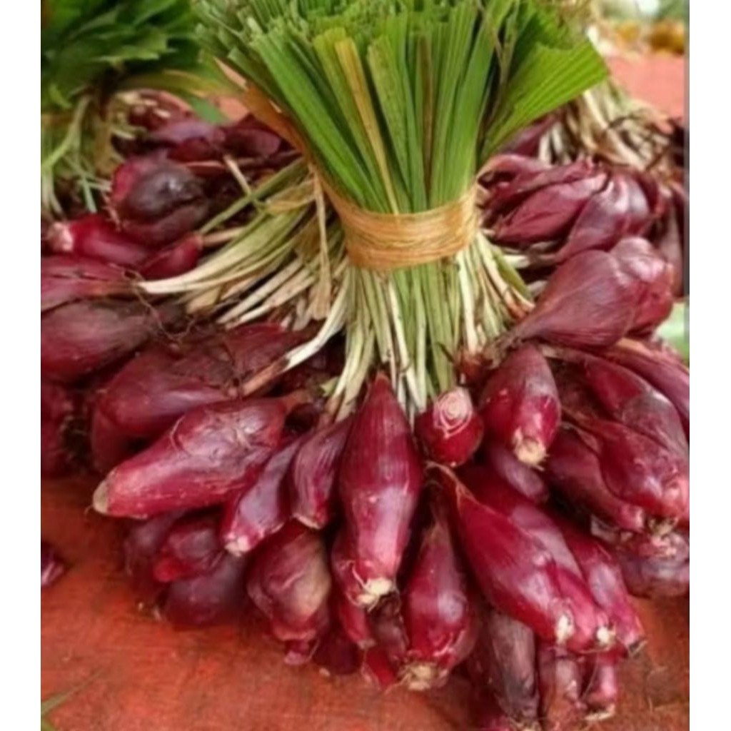 bawang dayak segar1kg