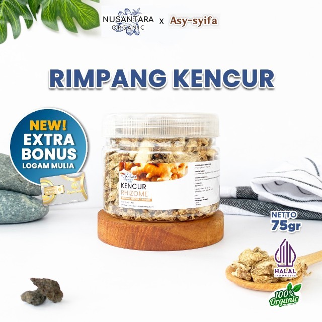 Nusantara Organic Kencur Kering Dried Turmeric Rempah Masakan Organik Alami Herbal 75gr Asy Syifa