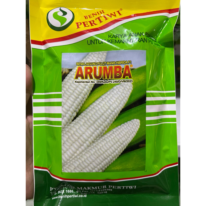 PROMO Benih / bibit jagung putih pulut manis ARUMBA jagung arumba 250 gr dari benih pertiwi jagung k
