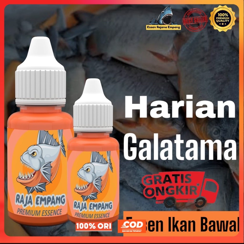 Essen Raja Empang Ikan bawal gacor harian | essen galatama bawal | esen bawal galatama | esen ikan b