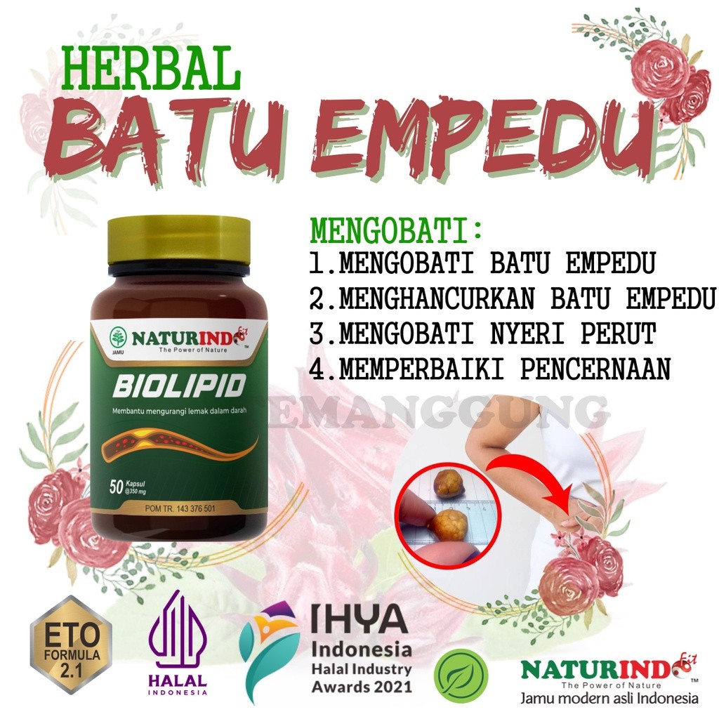 Obat penghancur batu Empedu paling ampuh tanpa operasi herbal  cina ori naturindo
