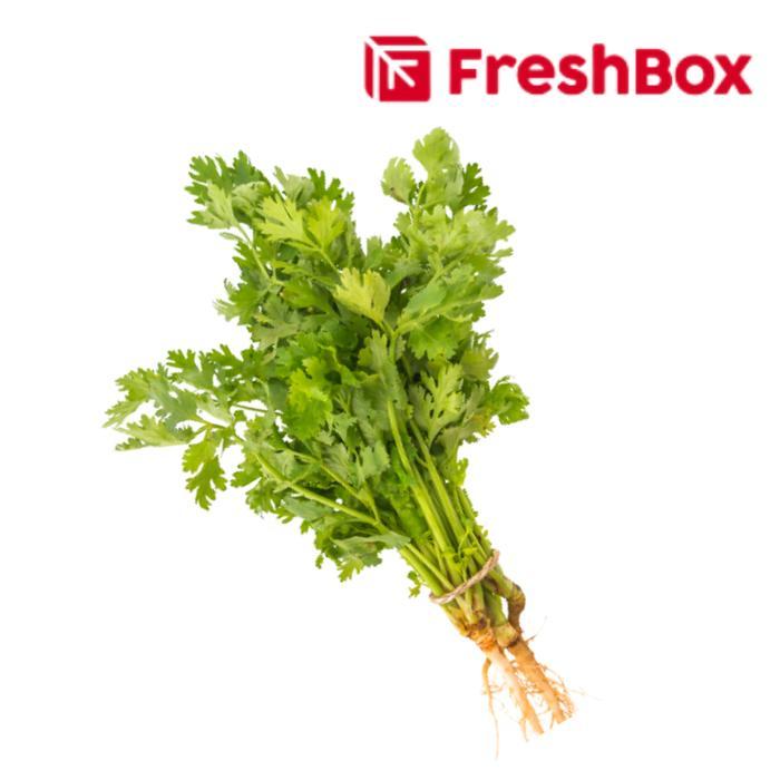Promo Daun Ketumbar 250gr FreshBox