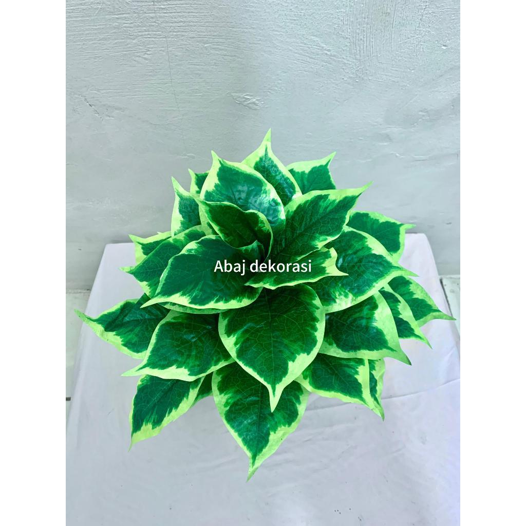 chingfu bonsai- shingfu bonsai- hiasan meja- dekorasi- pohon mini- pohon plastik