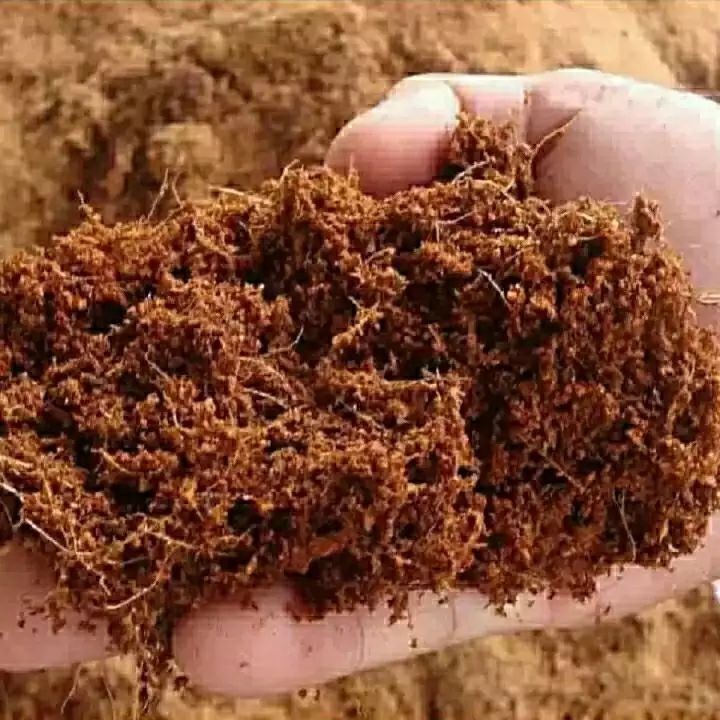 PROMO 2 KG Media tanam cocopeat media cocopeat | media tanam serabut kelapa cocopeat