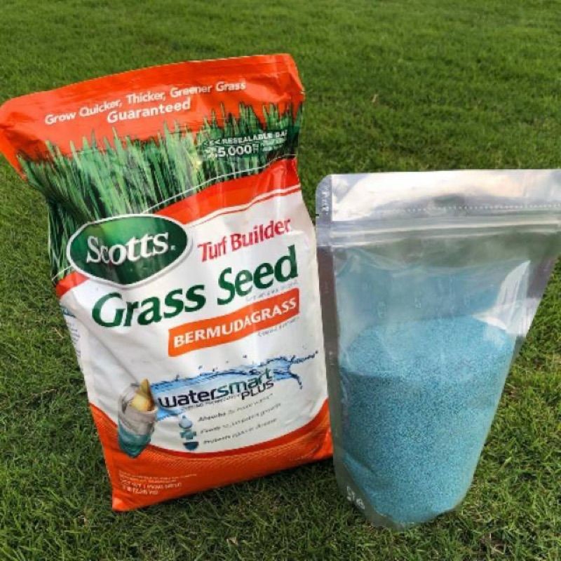 10gram benih rumput golf - benih rumput untuk lapangan sepak bola