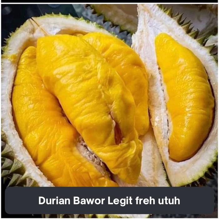 Durian Bawor Legit freh utuh | Promo durian bawor fresh super legit