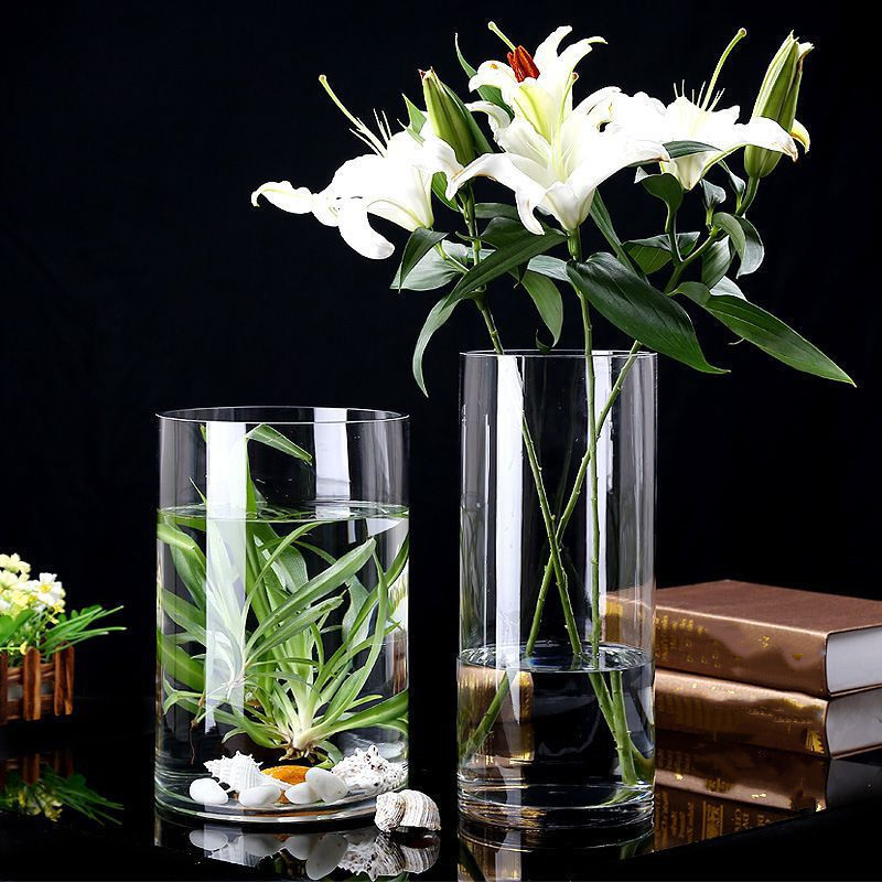 Cylinder Flower Vase Transparent Glass Vase Hydroponic Plant Vase Nordic Flower Vase Home Living Roo