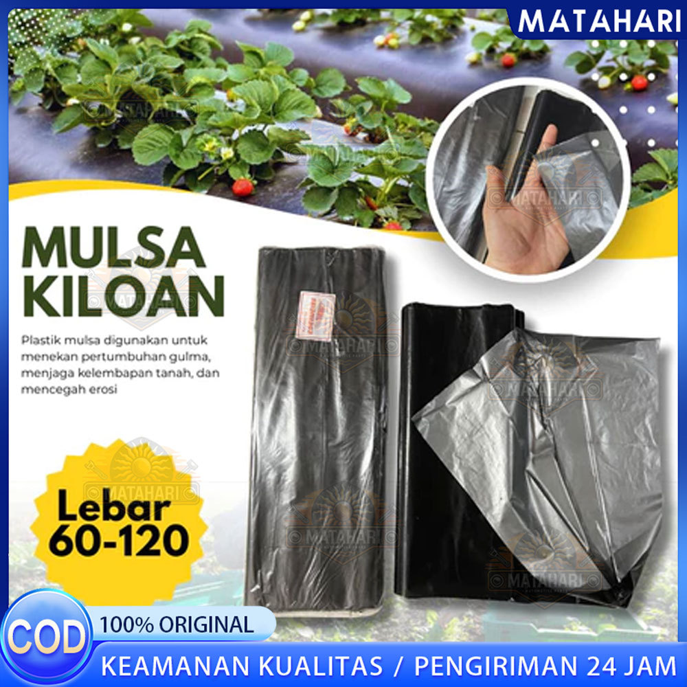 PLASTIK MULSA ( 1 ROLL ) panjang 250 meter * Lebar 120cm (1,2meter)